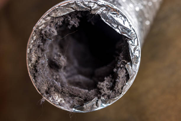Best Air Duct Cleaning Near Me  in Breckenridge, MI